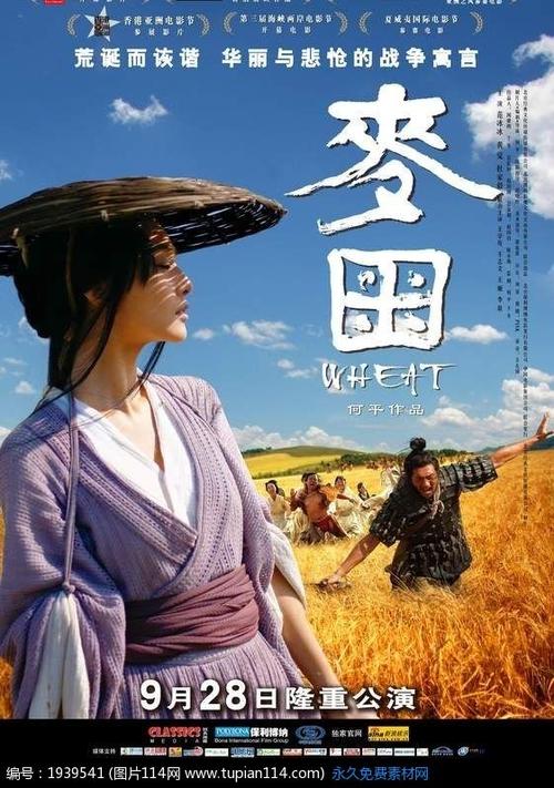 近畿大学福祉大学商业管理文凭证书